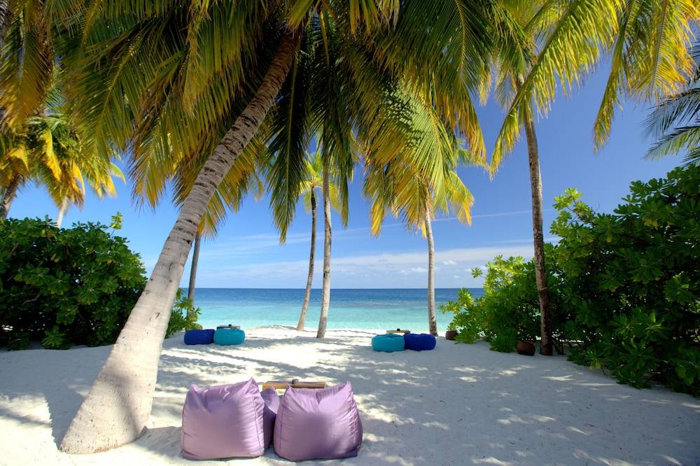 Beach bar