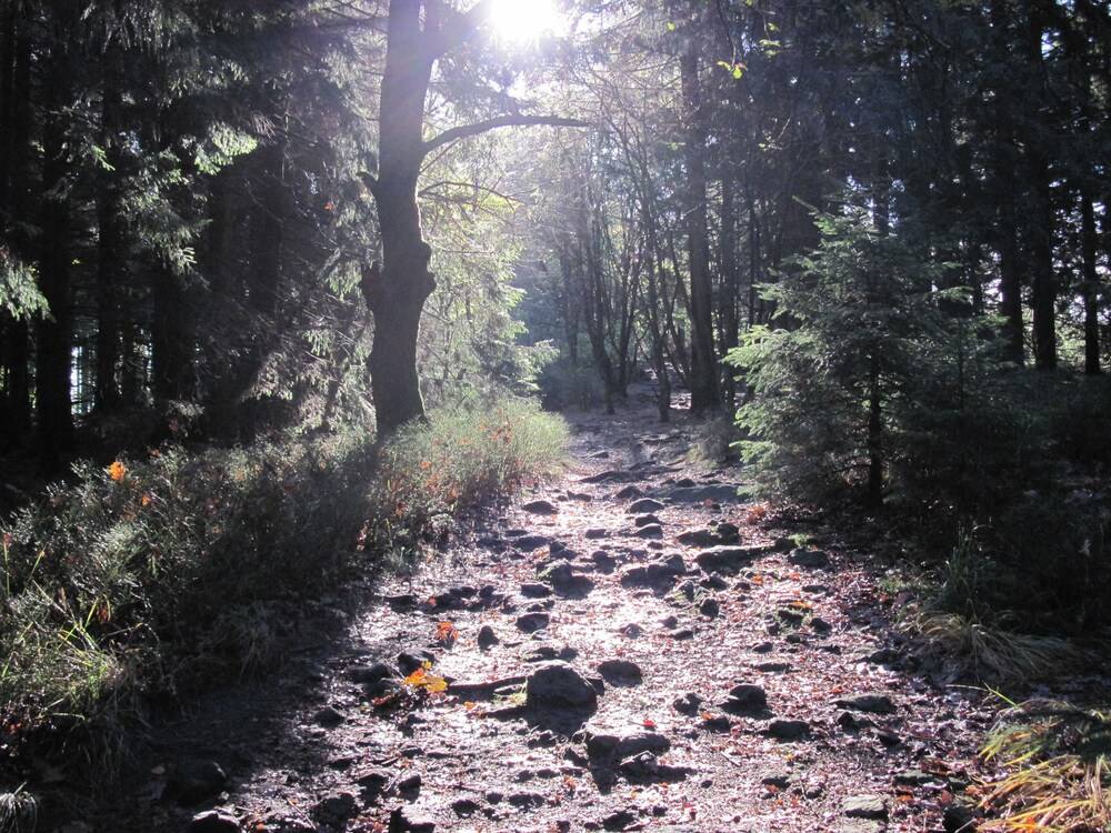 Hiking
