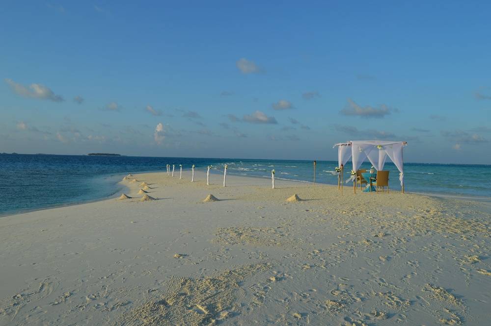Outdoor Wedding Area