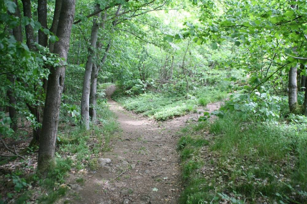Hiking