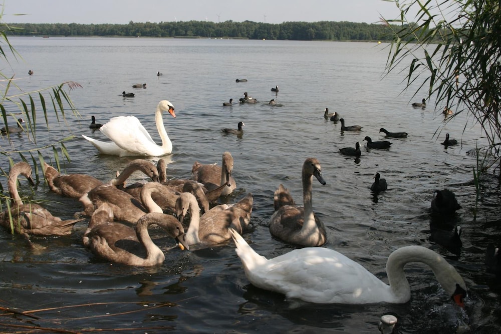 Lake