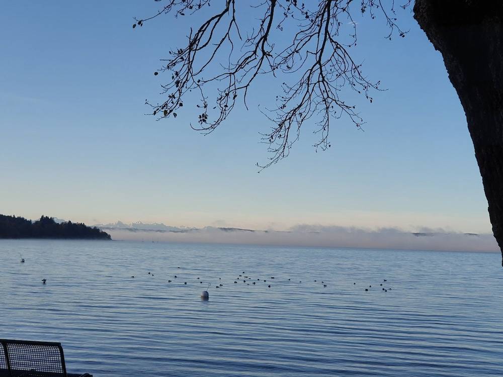 Lake
