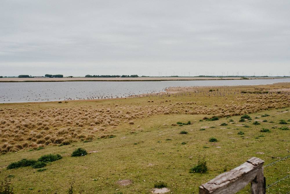 Land view from property