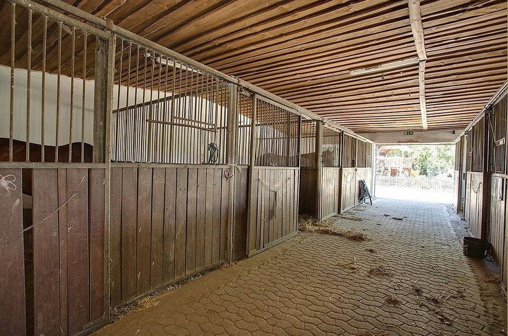 Horseback riding
