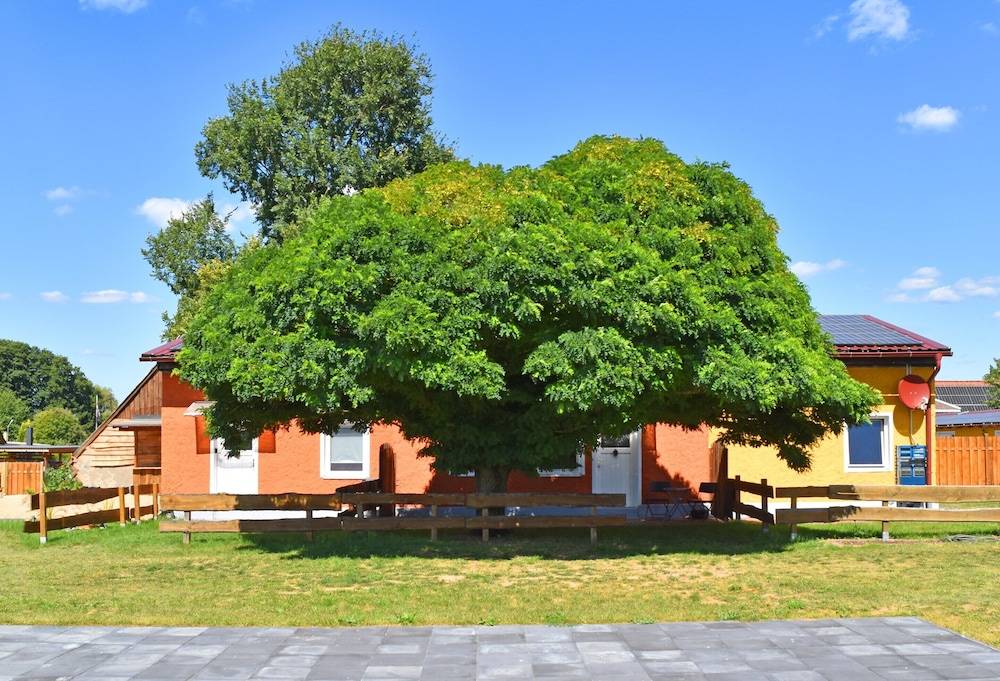 Ferienwohnung 2 am Vilzsee in Mirow