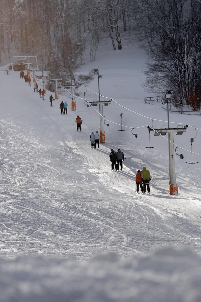Snow and ski sports