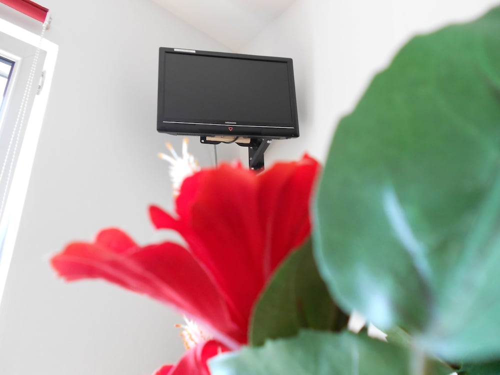 Television