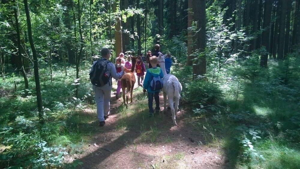Children's activities