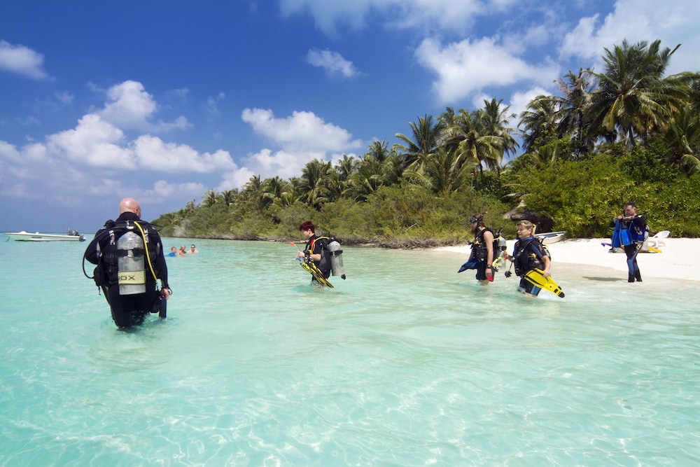 Ecotours