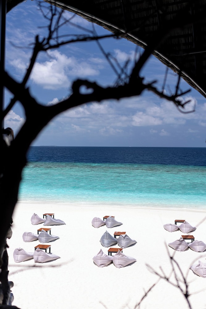 Beach bar