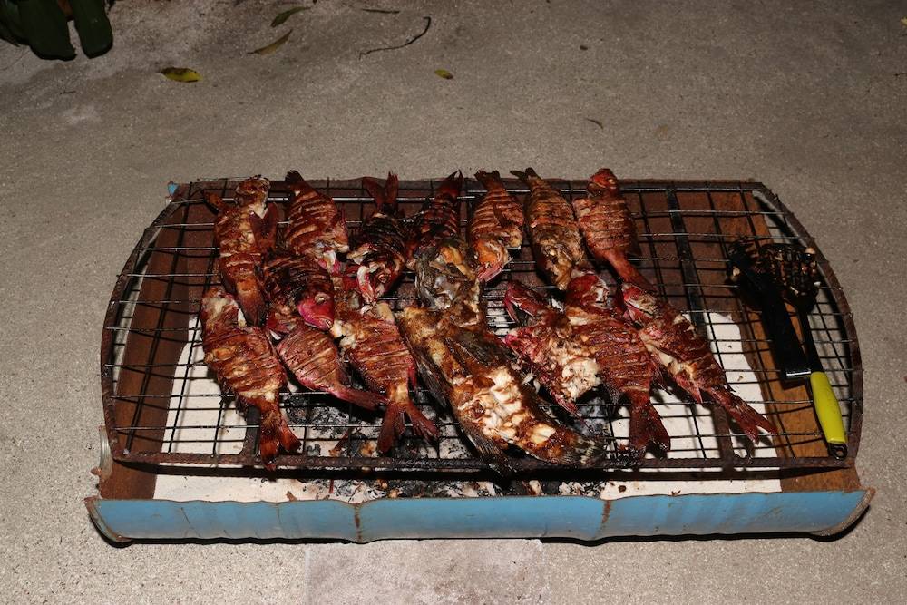 BBQ/Picnic Area
