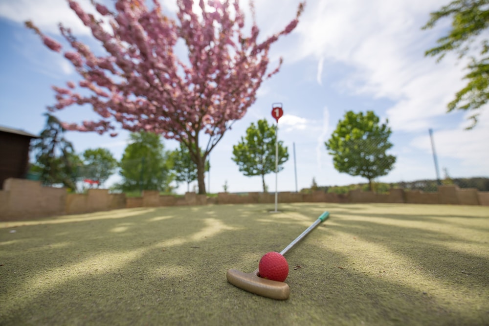 Mini-golf