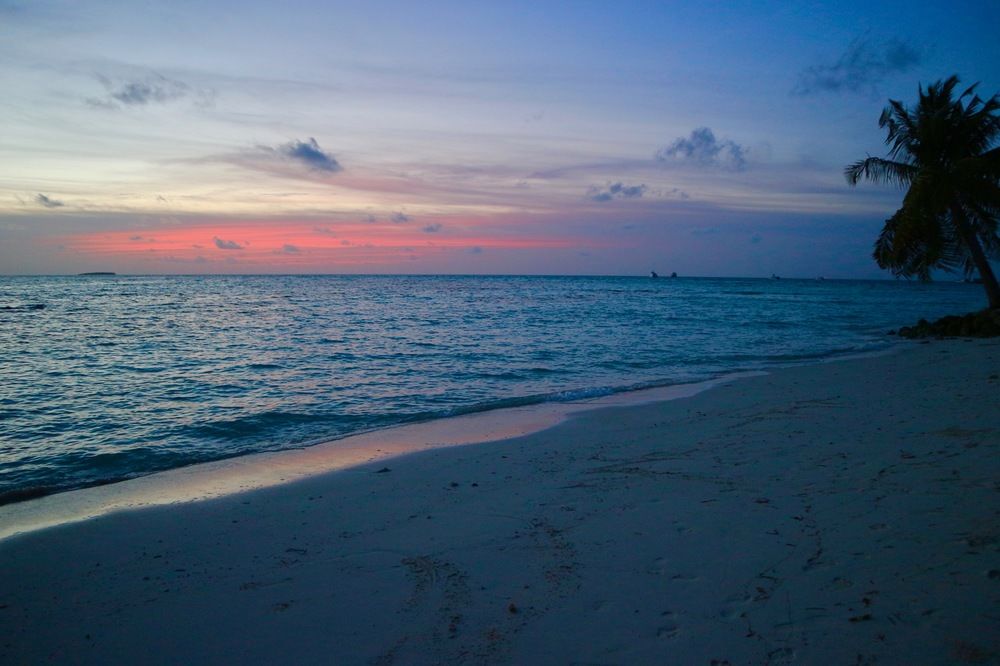 Beach/Ocean View