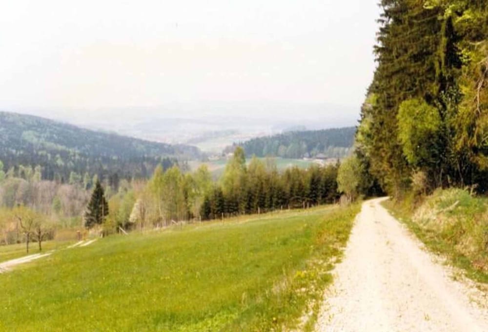 Hiking