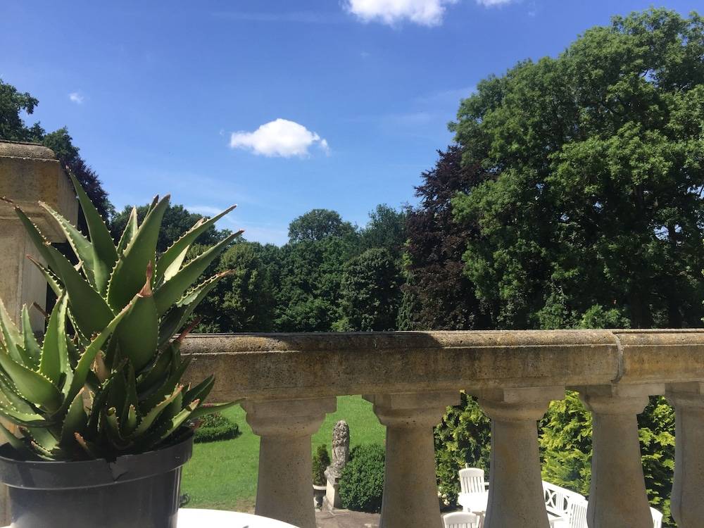 Garden view