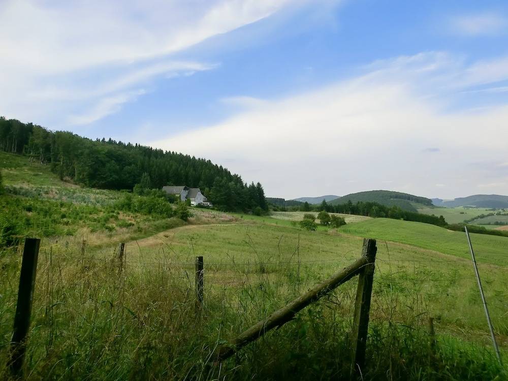 View from property