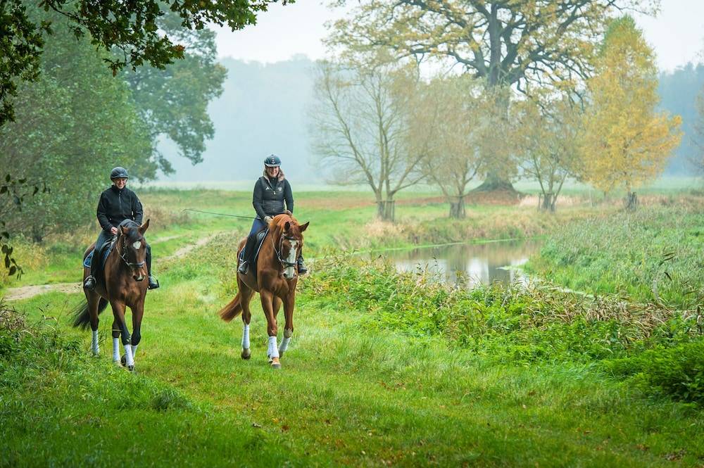 Horseback riding