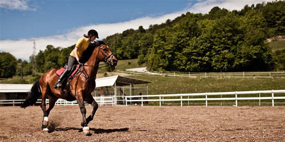 Horseback riding