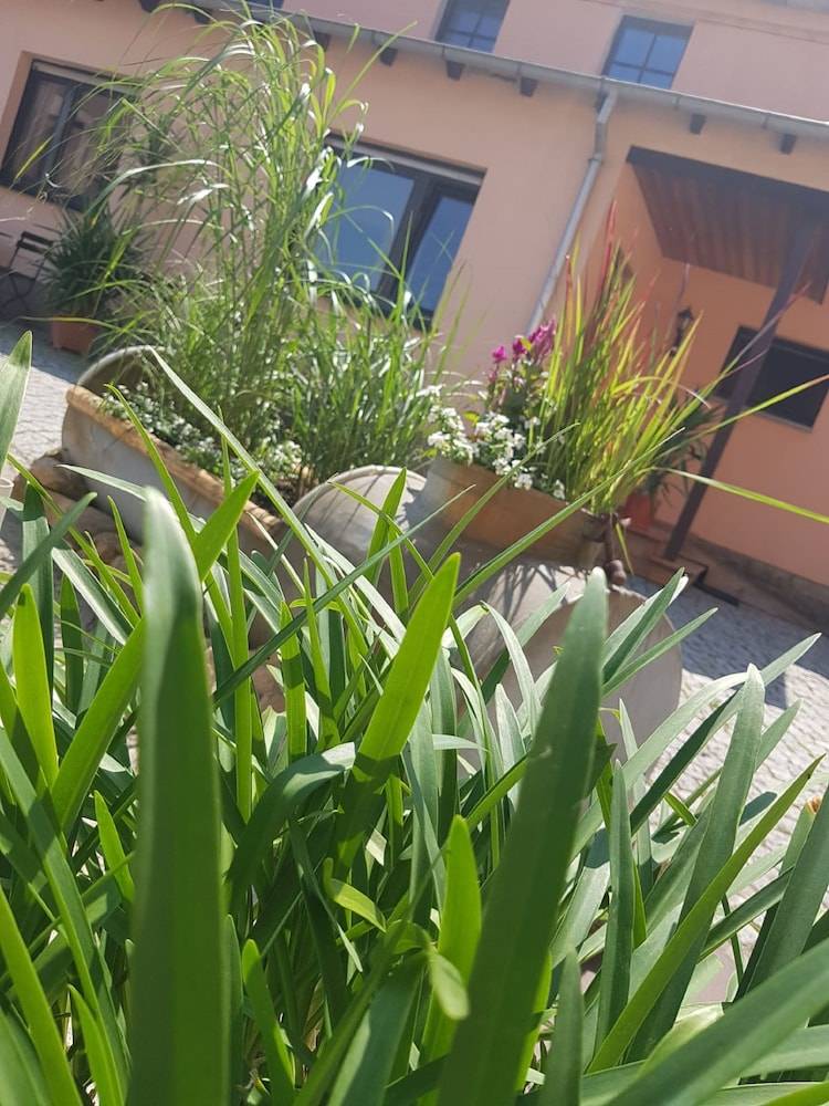 Courtyard view