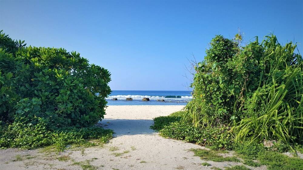 Beach/Ocean View