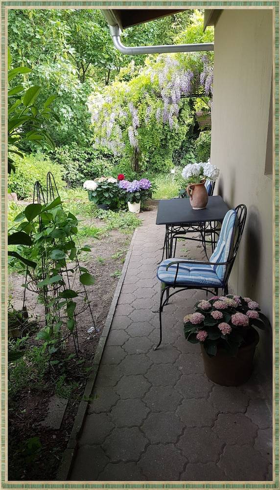 Garden view