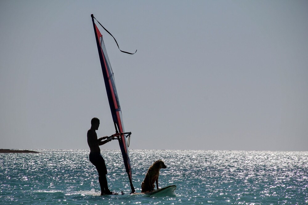 Surfing/boogie boarding