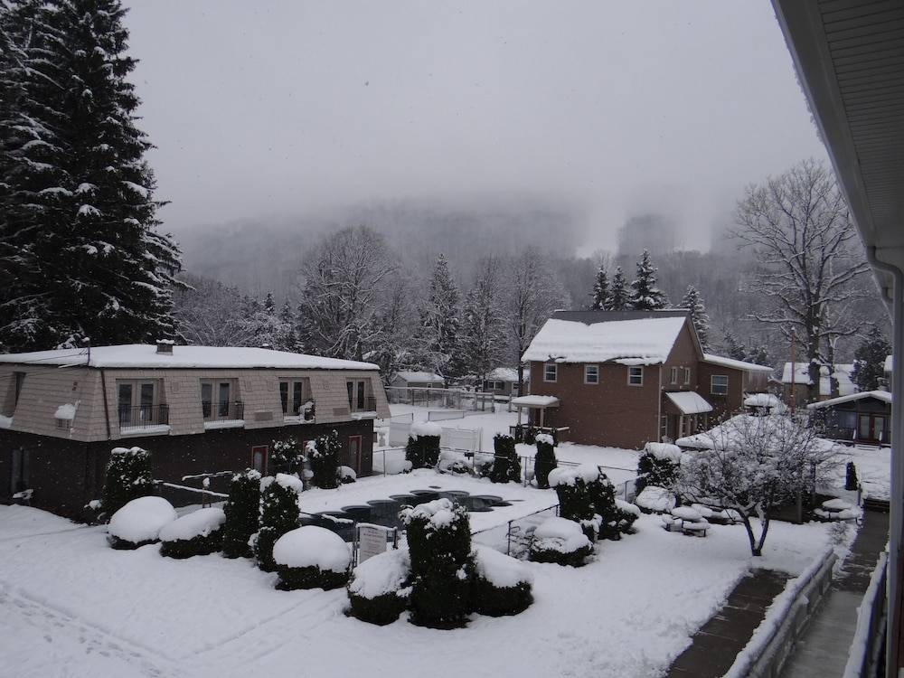 View from room