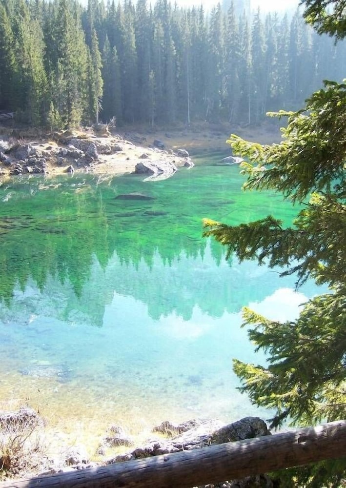 Natural pool