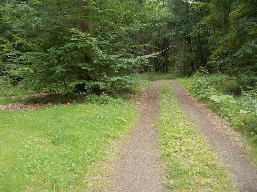 Hiking
