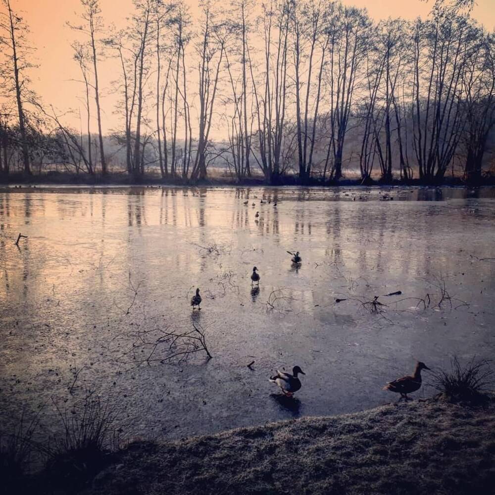 Lake