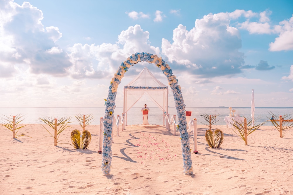 Outdoor wedding area