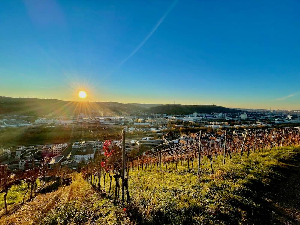 Land view from property