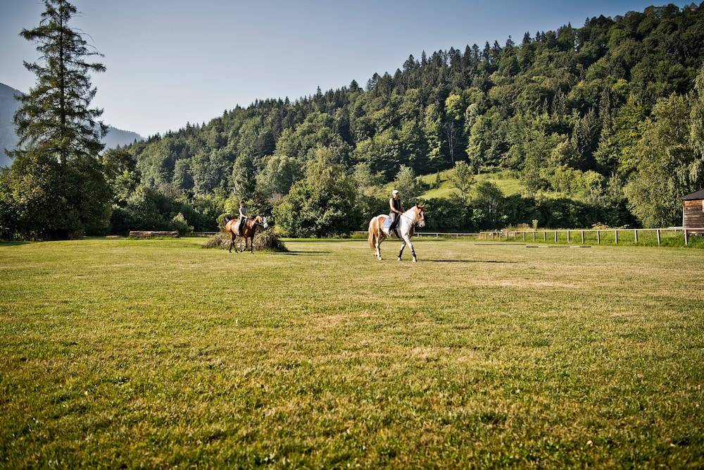 Horseback riding