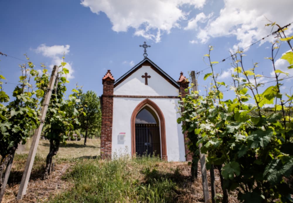 Winery