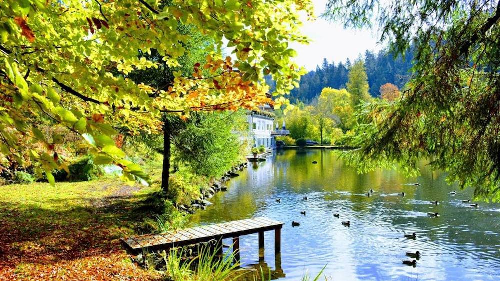 Lake view