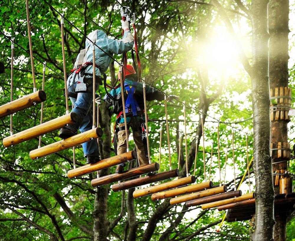 Ropes course (team building)