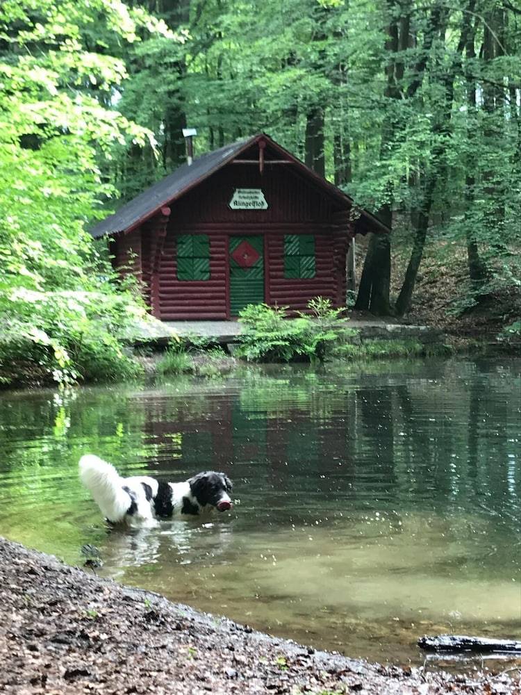 Hiking
