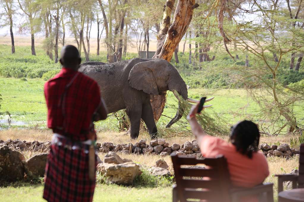 Experience Waterhole View