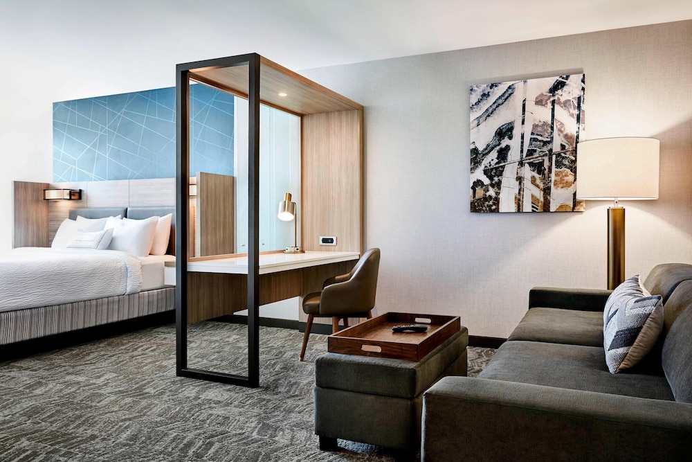 SpringHill Suites Ellijay - photo 4