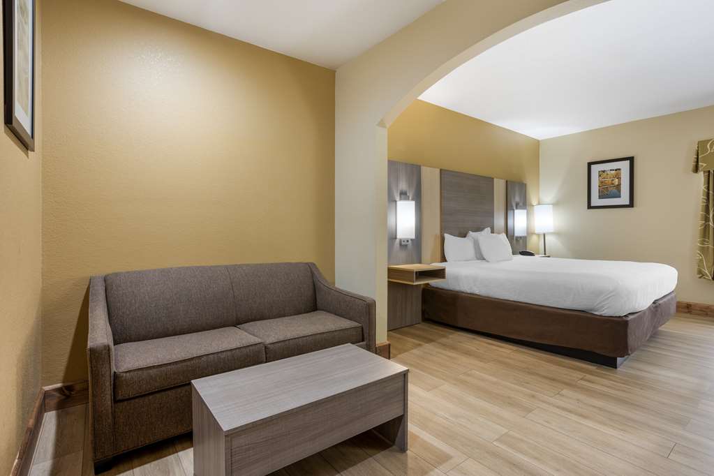 Best Western Plus Springfield Airport Inn - photo 4