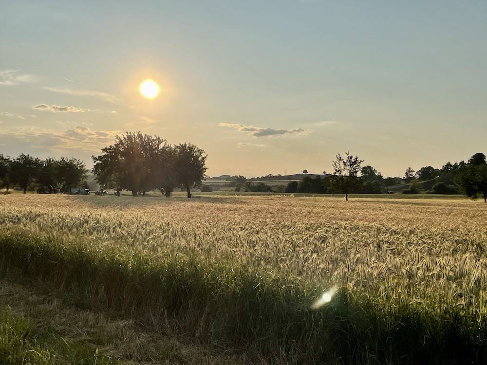Land view from property