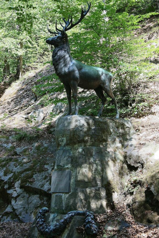 Hiking