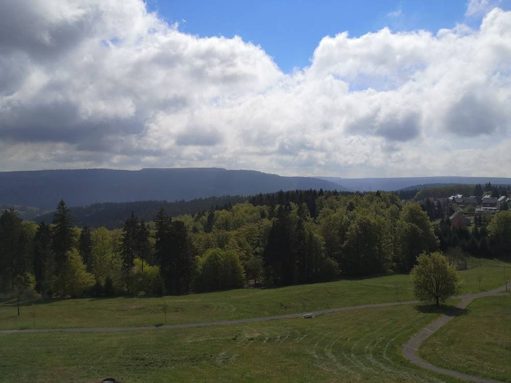 View from property