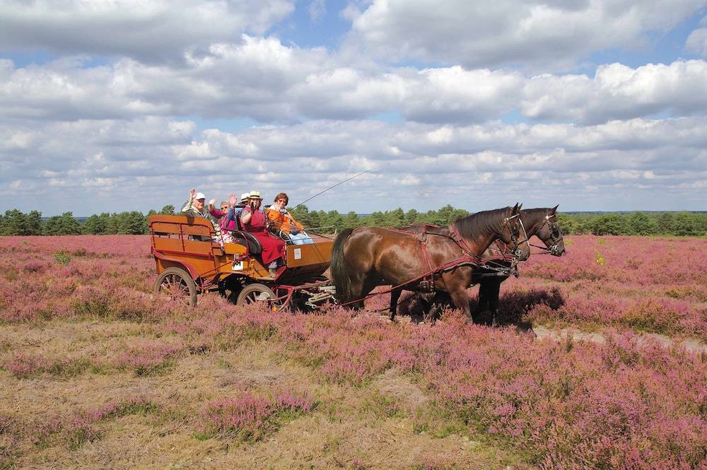 Ecotours