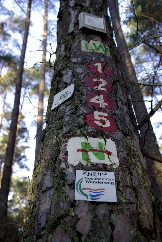 Hiking