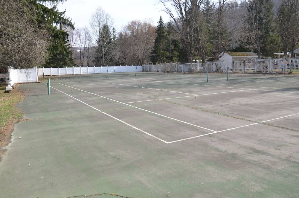 Tennis court