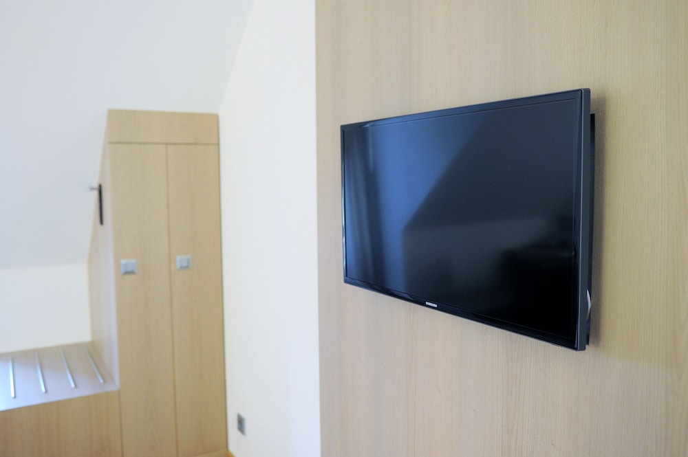 Television