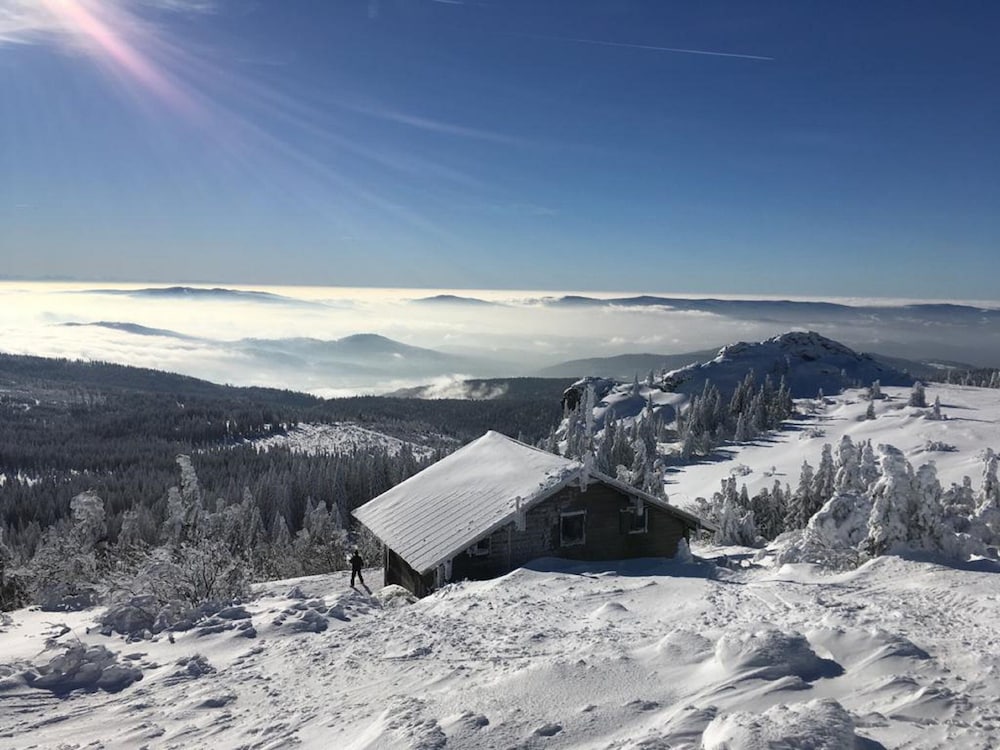 Snowshoeing