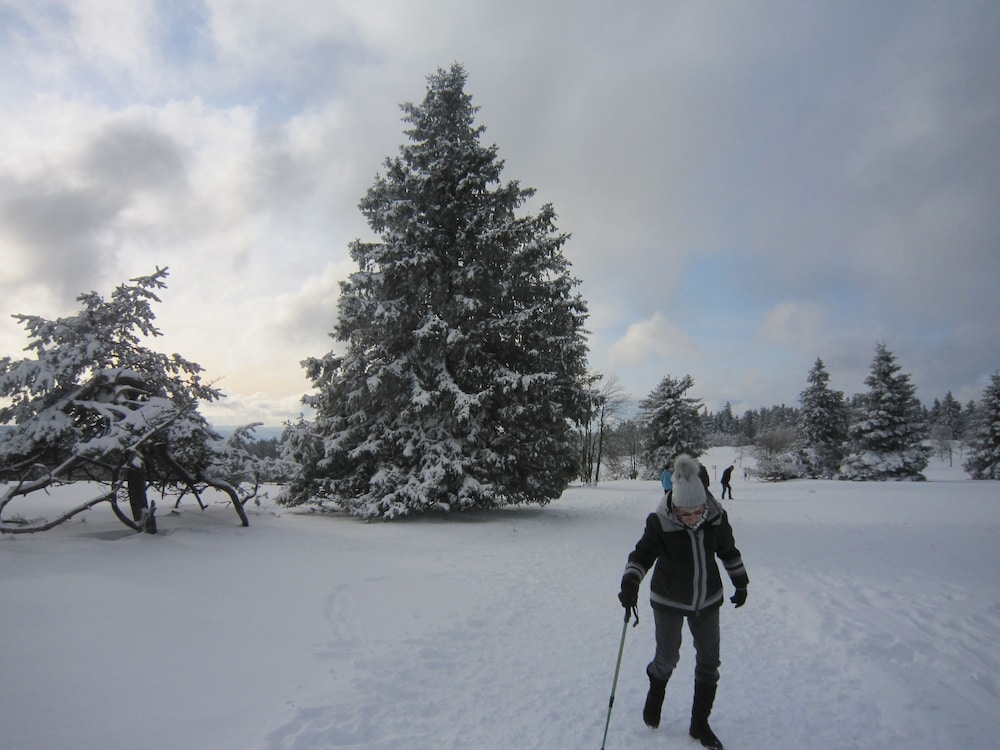Snowshoeing